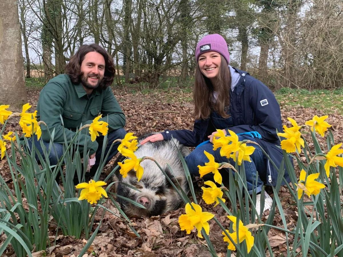 Willa Starry Meadow & Rescued Animal Experiences Great Yarmouth Zewnętrze zdjęcie