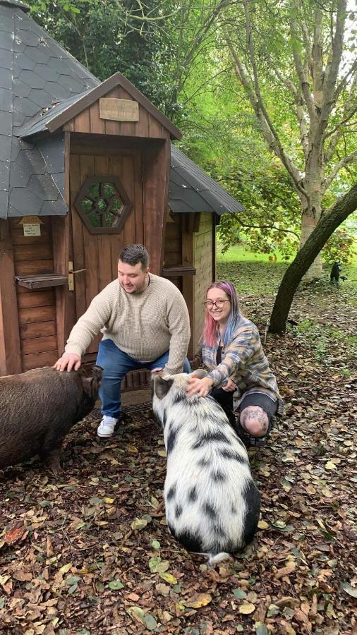 Willa Starry Meadow & Rescued Animal Experiences Great Yarmouth Zewnętrze zdjęcie