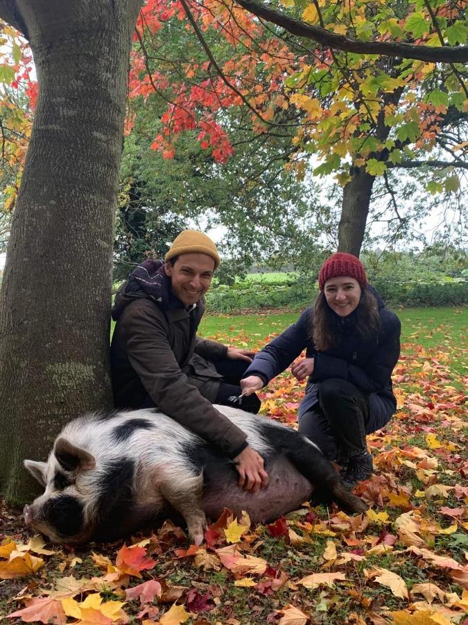 Willa Starry Meadow & Rescued Animal Experiences Great Yarmouth Zewnętrze zdjęcie