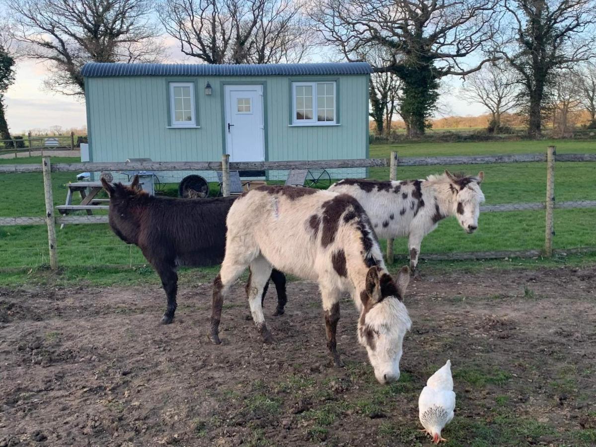 Willa Starry Meadow & Rescued Animal Experiences Great Yarmouth Zewnętrze zdjęcie