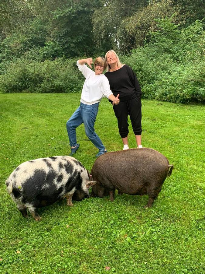 Willa Starry Meadow & Rescued Animal Experiences Great Yarmouth Zewnętrze zdjęcie