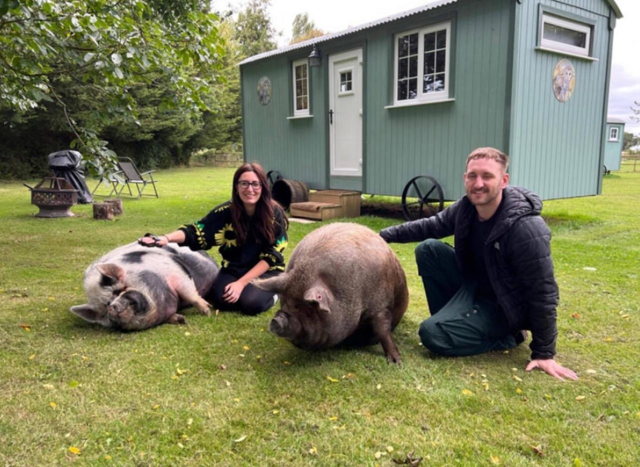 Willa Starry Meadow & Rescued Animal Experiences Great Yarmouth Zewnętrze zdjęcie